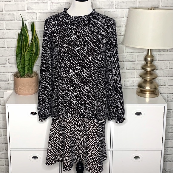 LOFT Dresses & Skirts - • LOFT Outlet • Petite Black, Taupe Dress, SZ L